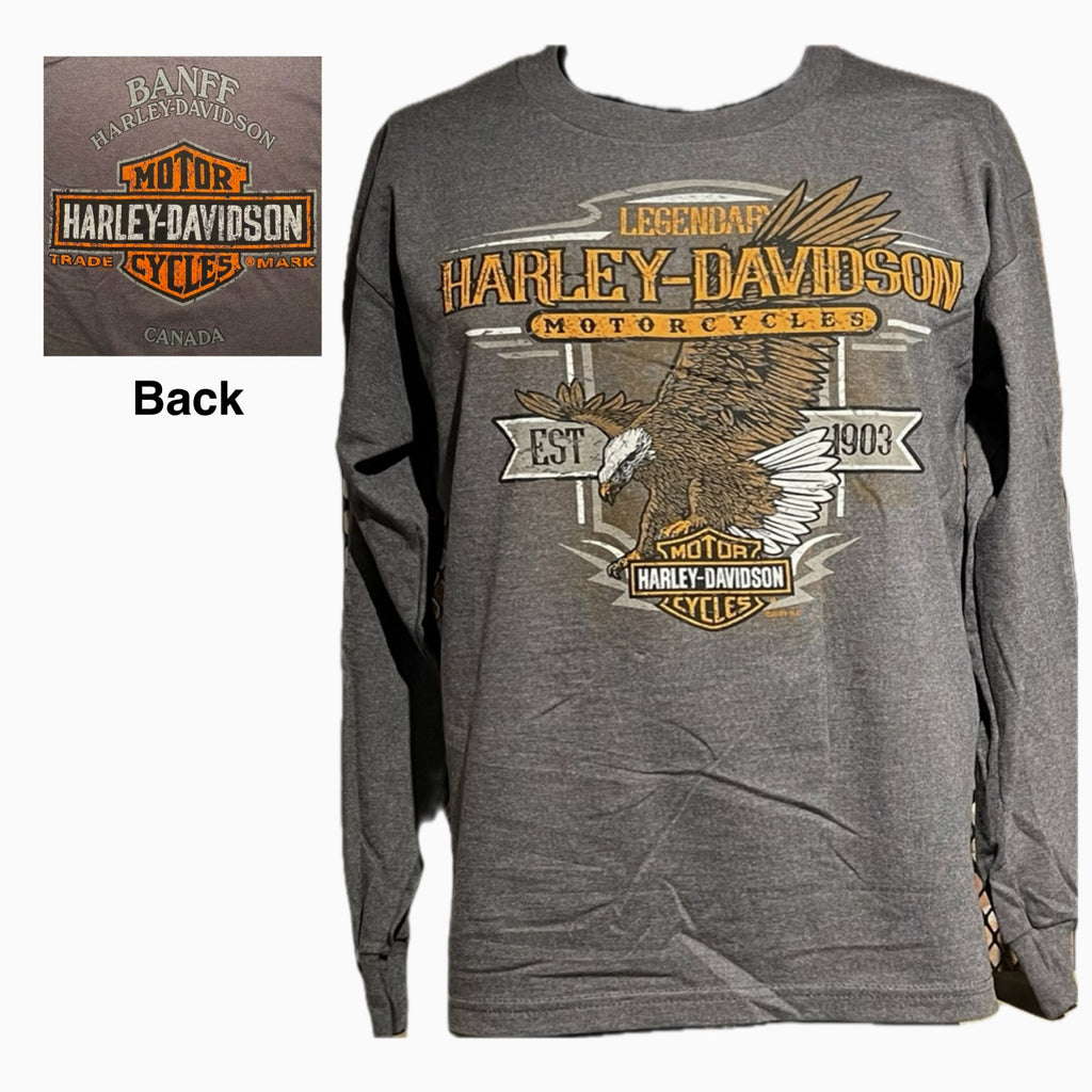 Men's L/S - Label Bird ADT Charcoal Heather - Banff Harley-Davidson®