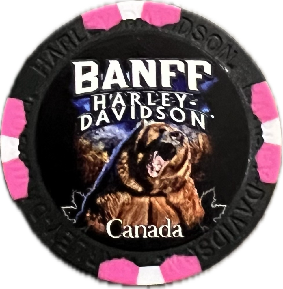 Poker Chips - Custom Grizzly Bear - Banff Harley-Davidson®