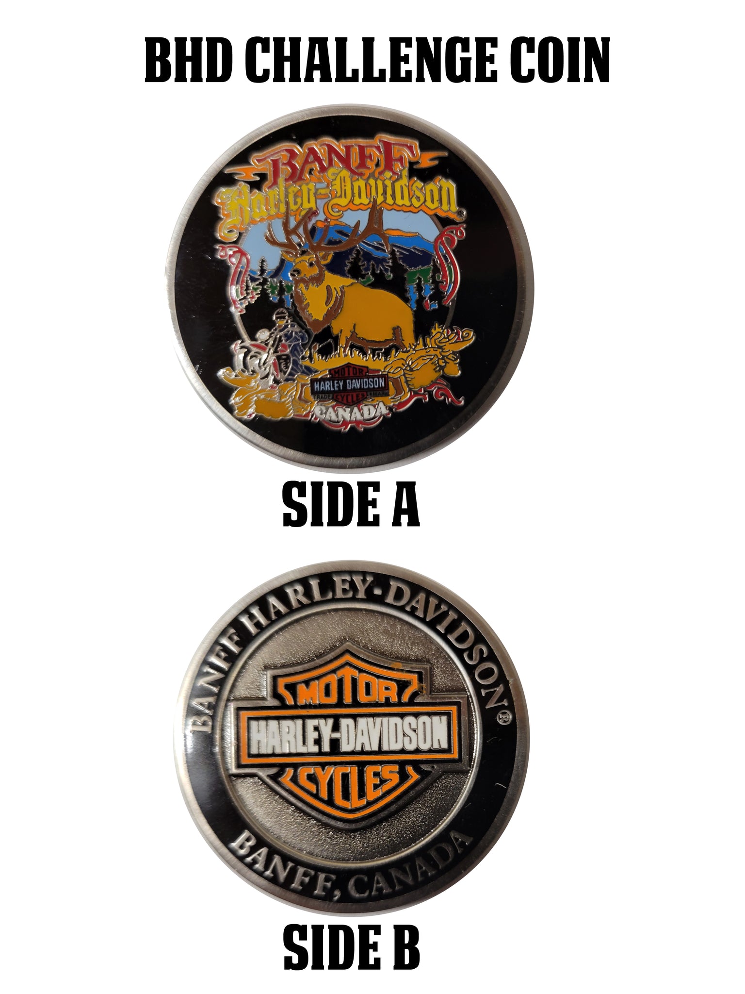 Challenge Coin Elk Banff Harley Davidson